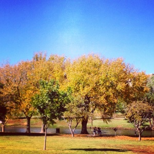 This looks like a crisp fall day, but it was actually 85 when I took this.